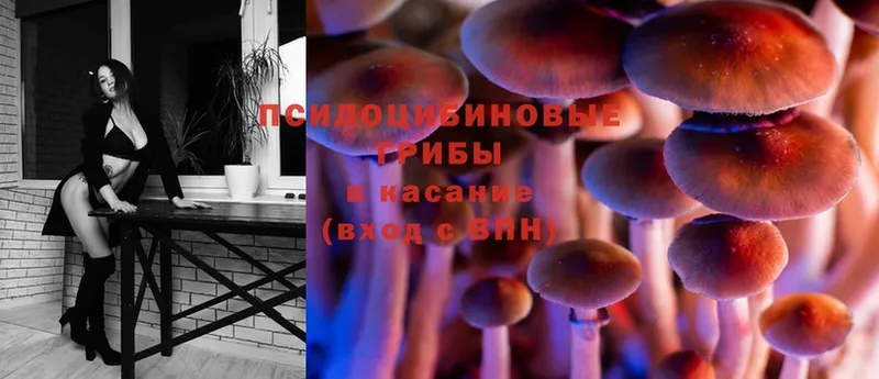 Псилоцибиновые грибы Cubensis  дарнет шоп  Сыктывкар 